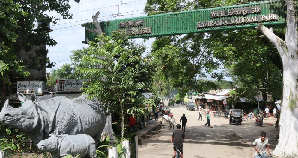 kaziranga entry gate